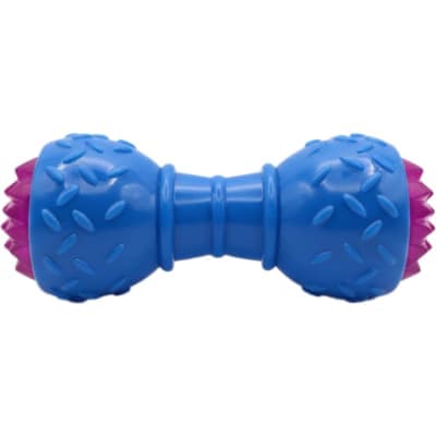 Dumbbell Glow-in-the-Dark Squeaky Chew Toy