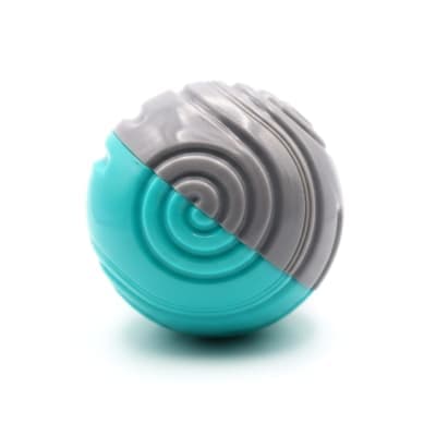Spiral Pattern Dog Chew Toy